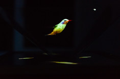 [FOTO] Taka noc na PRz zdarza się tylko raz w roku